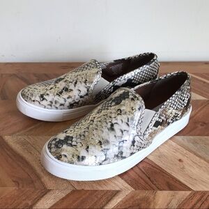 Steve Madden | Snake Print Sahary Slip On Sneaker